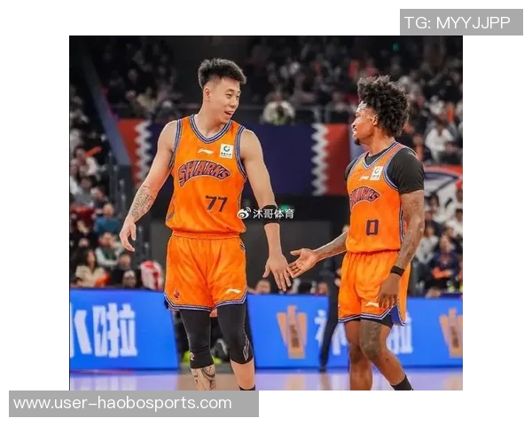 浙江男篮迎新外援布兰登兰道夫助力德甲得分王之路